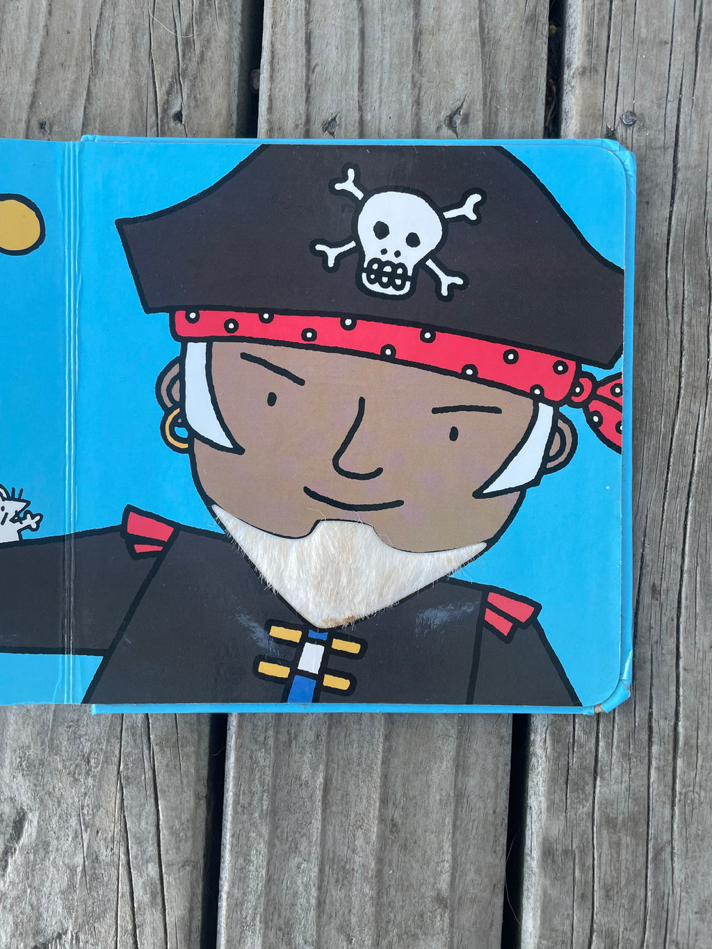 That's not my pirate... Fiona Watt