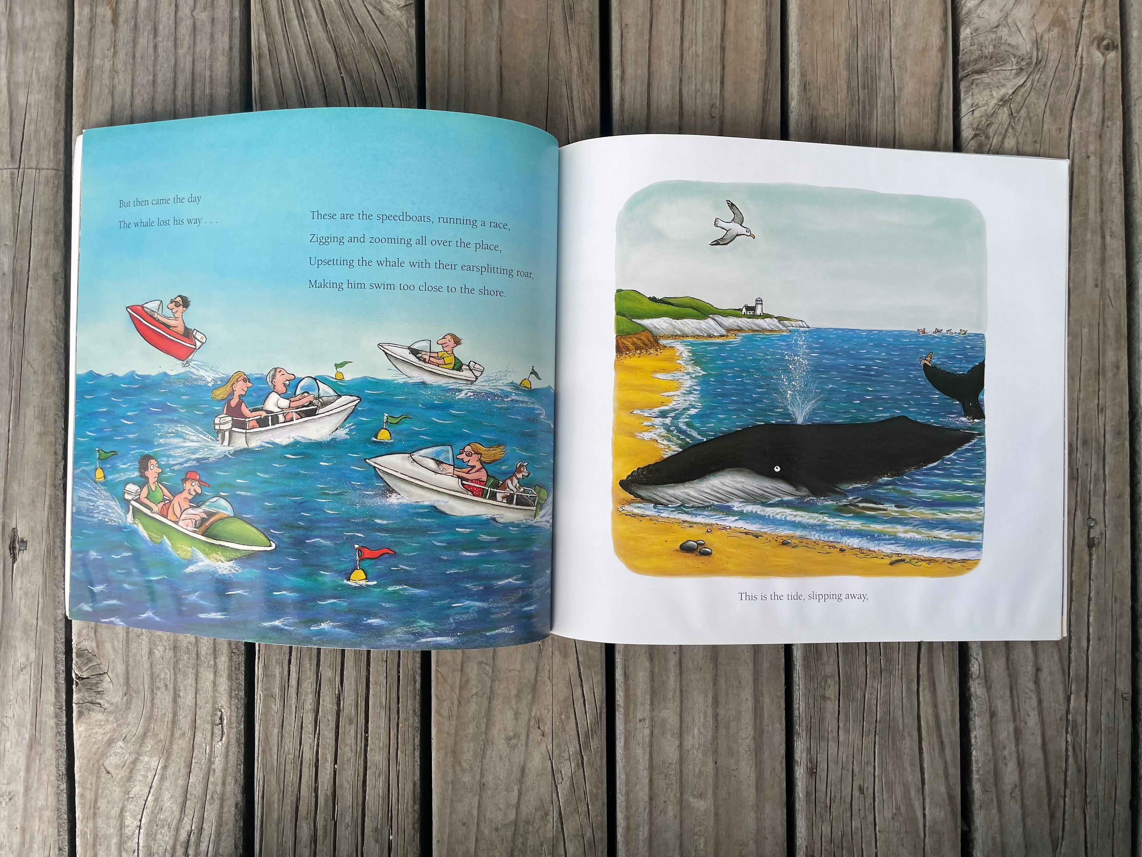 The Snail and the Whale - Julia Donaldson
