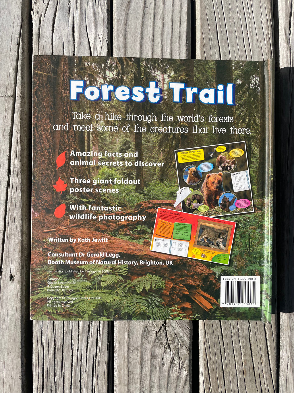 Forest Trail - Kath Jewitt