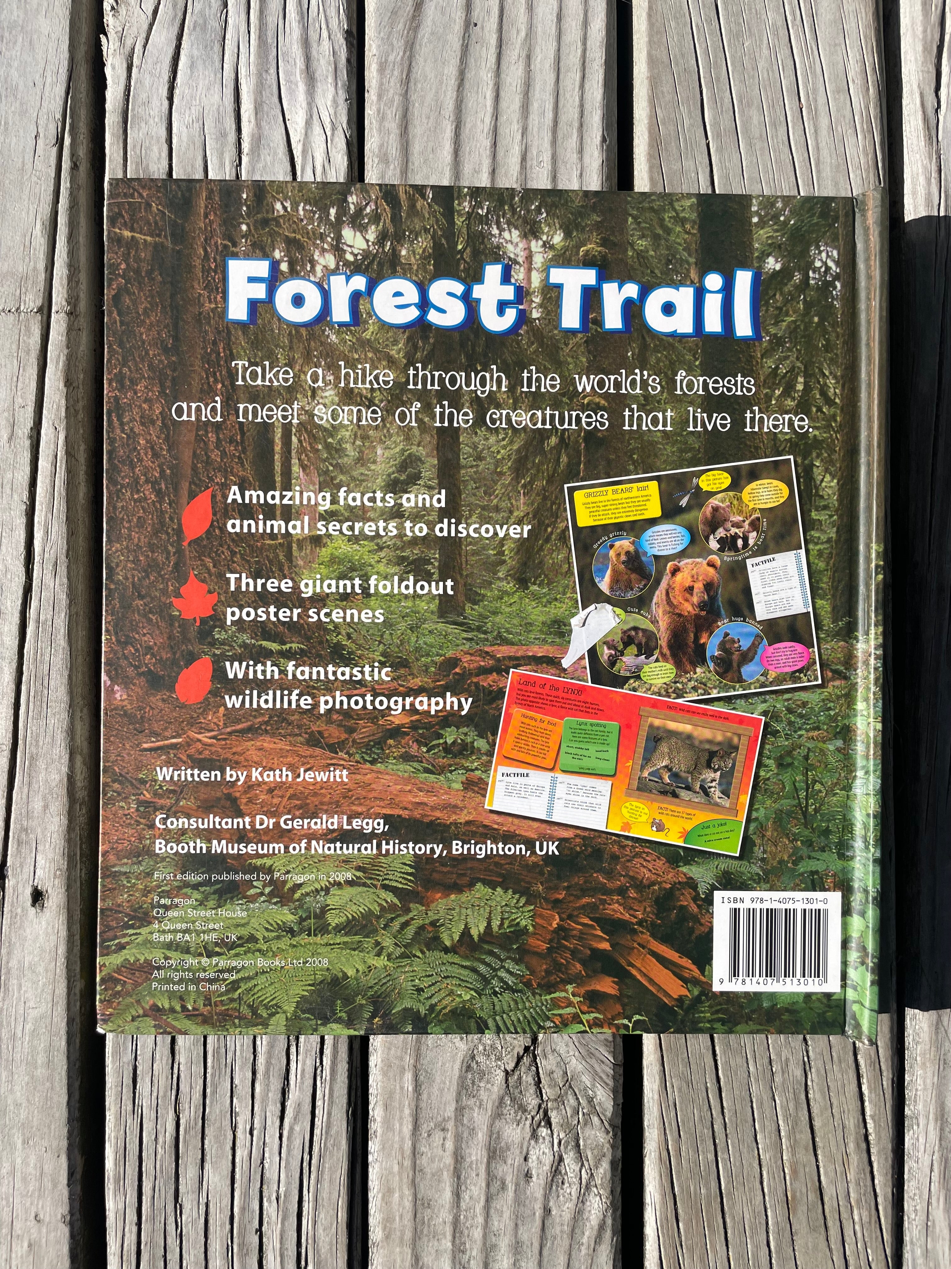 Forest Trail - Kath Jewitt