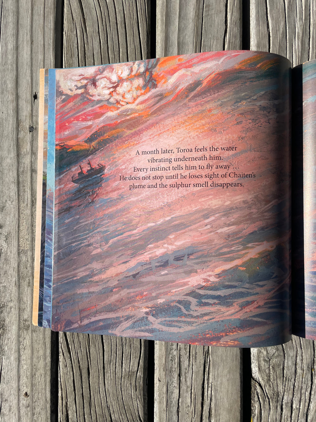Toroa's Journey - Maria Gill