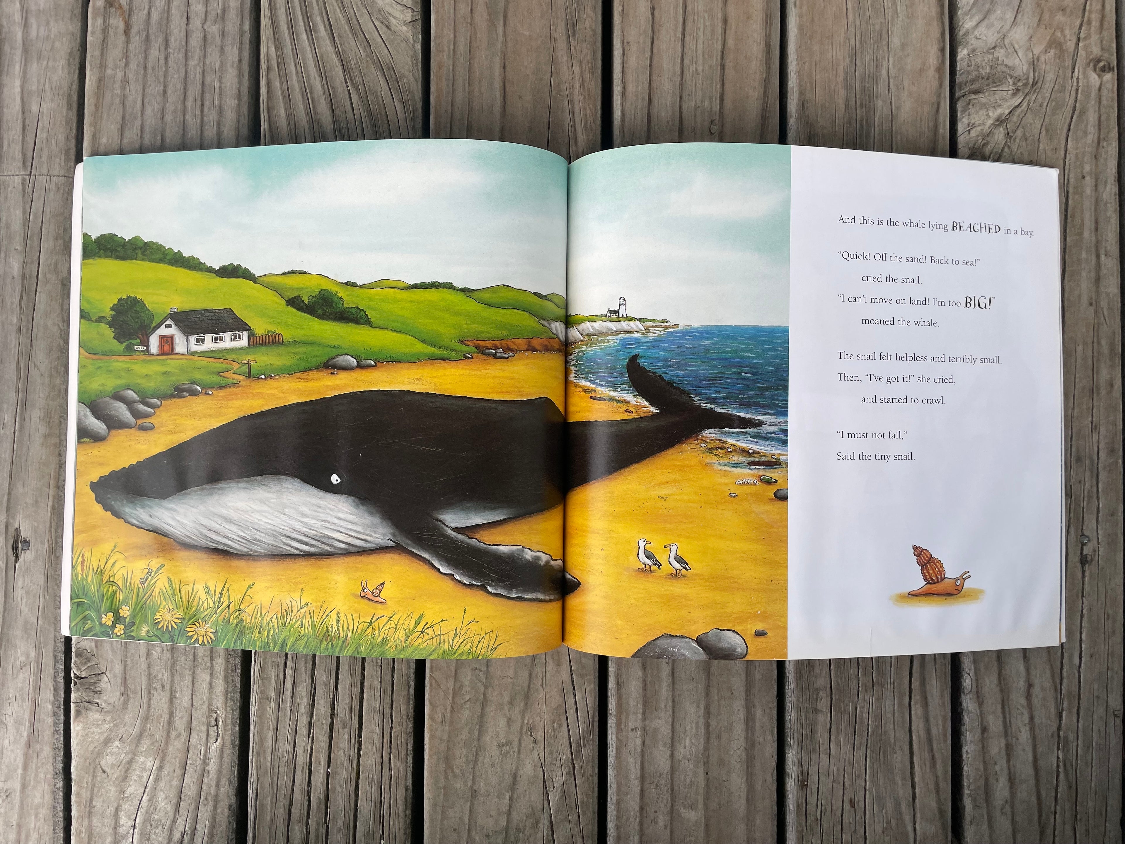 The Snail and the Whale - Julia Donaldson