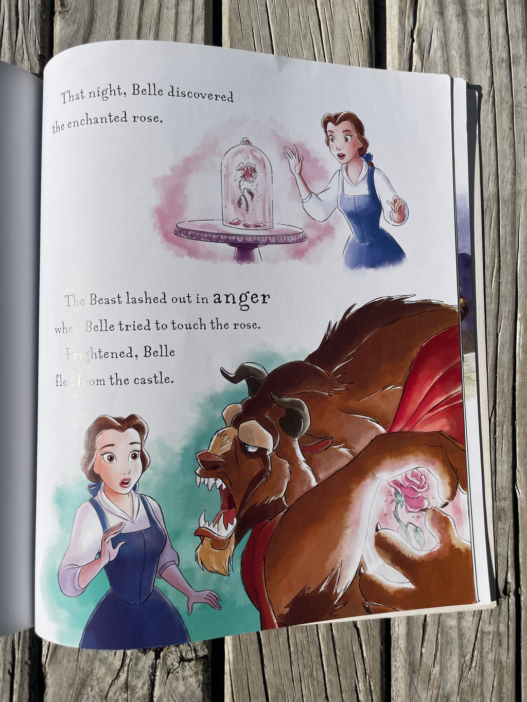 Beauty and the Beast - Disney