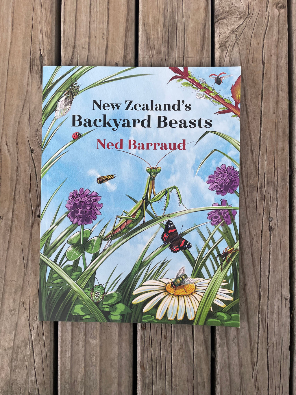 New Zealand's Backyard Beats - Ned Barraud