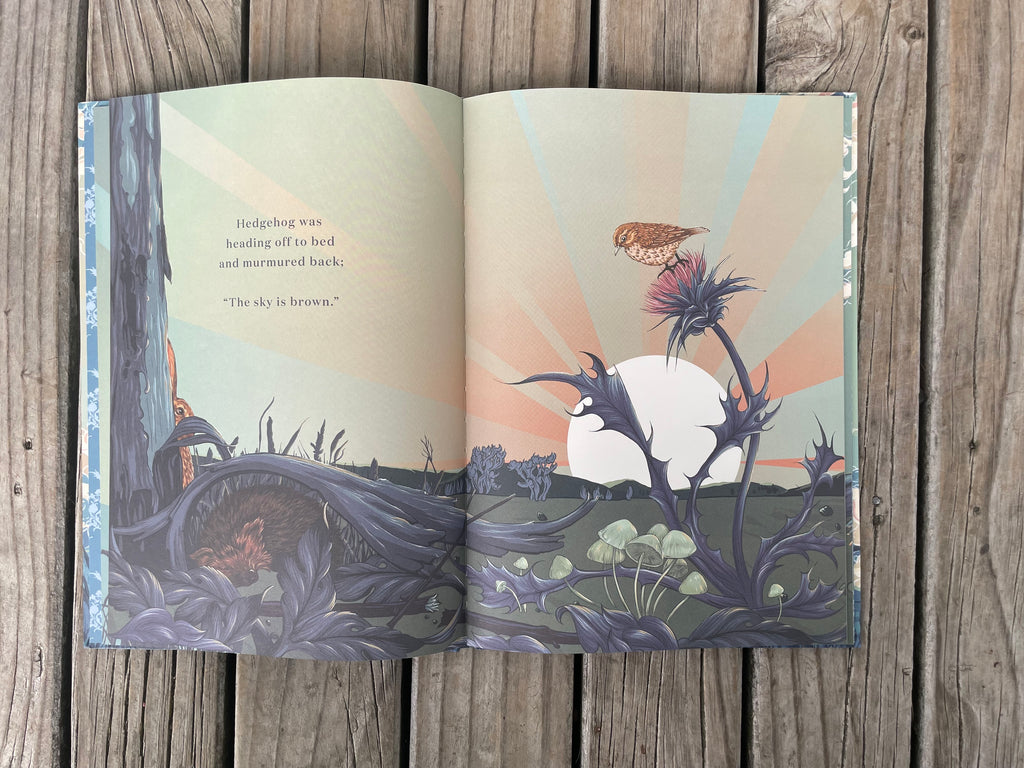 What Colour is the Sky? - Laura Shallcrass