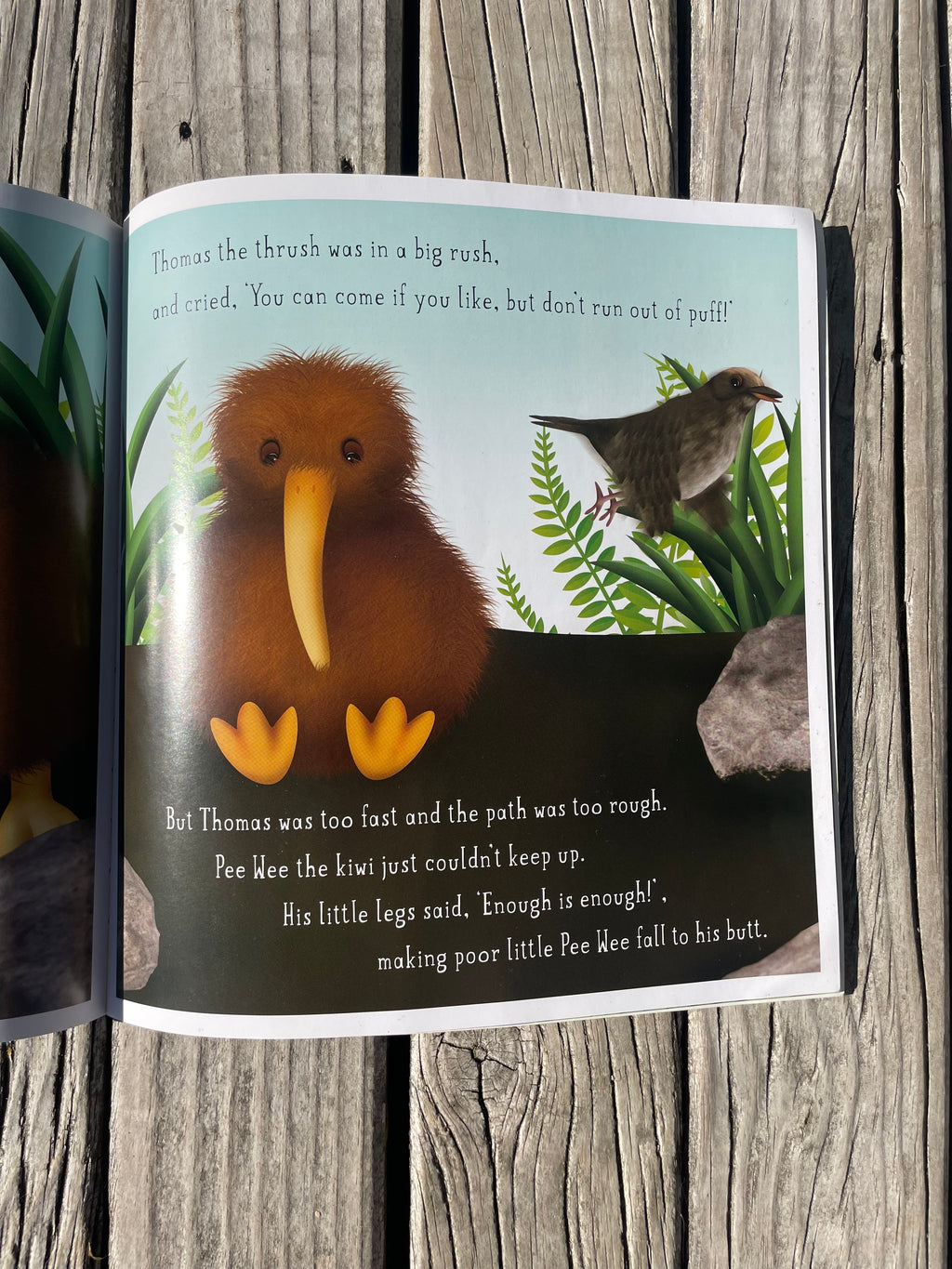 Pee Wee the Lonely Kiwi - Blair Cooper