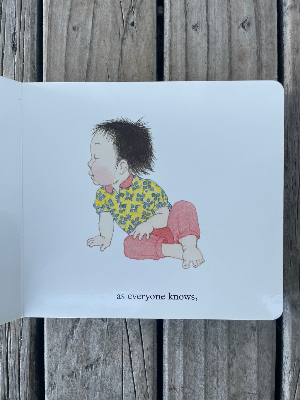 Ten Little Fingers and Ten Little Toes - Mem Fox