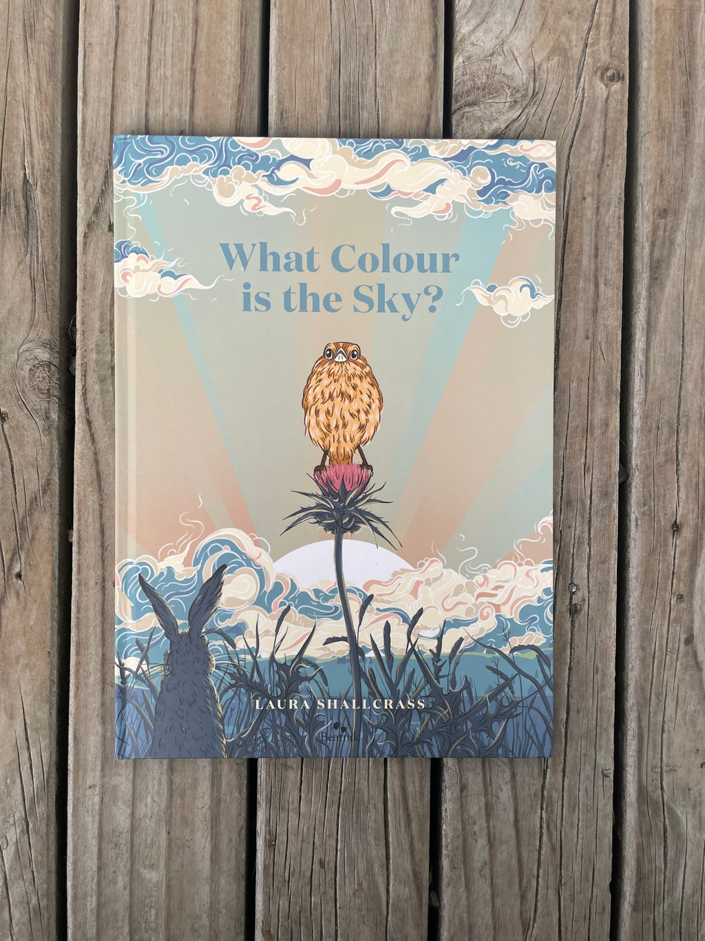 What Colour is the Sky? - Laura Shallcrass