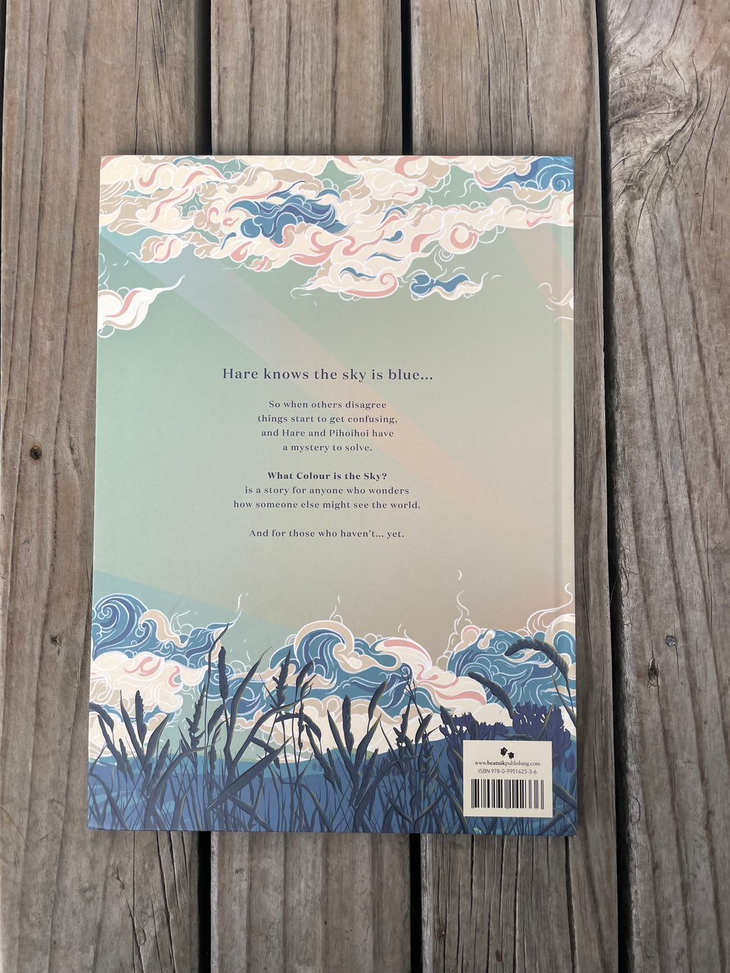 What Colour is the Sky? - Laura Shallcrass