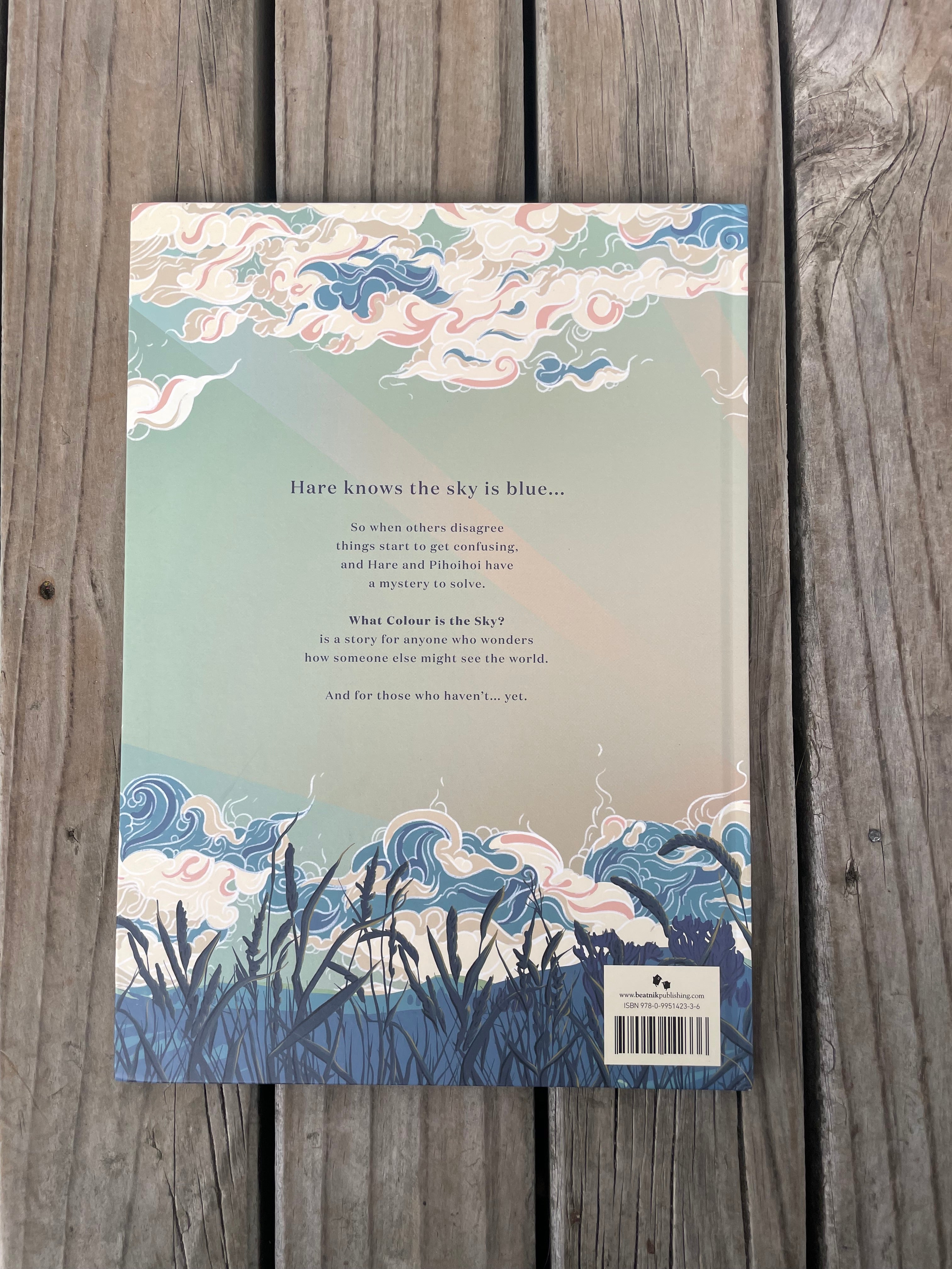 What Colour is the Sky? - Laura Shallcrass