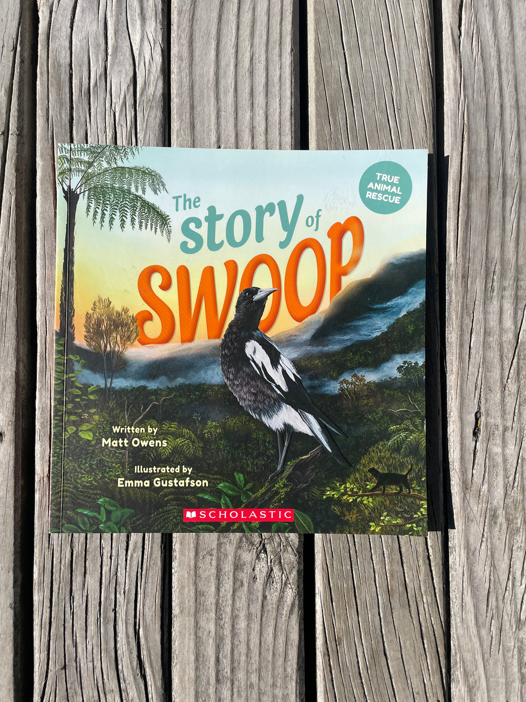 The Story of Swoop - Matt Owens
