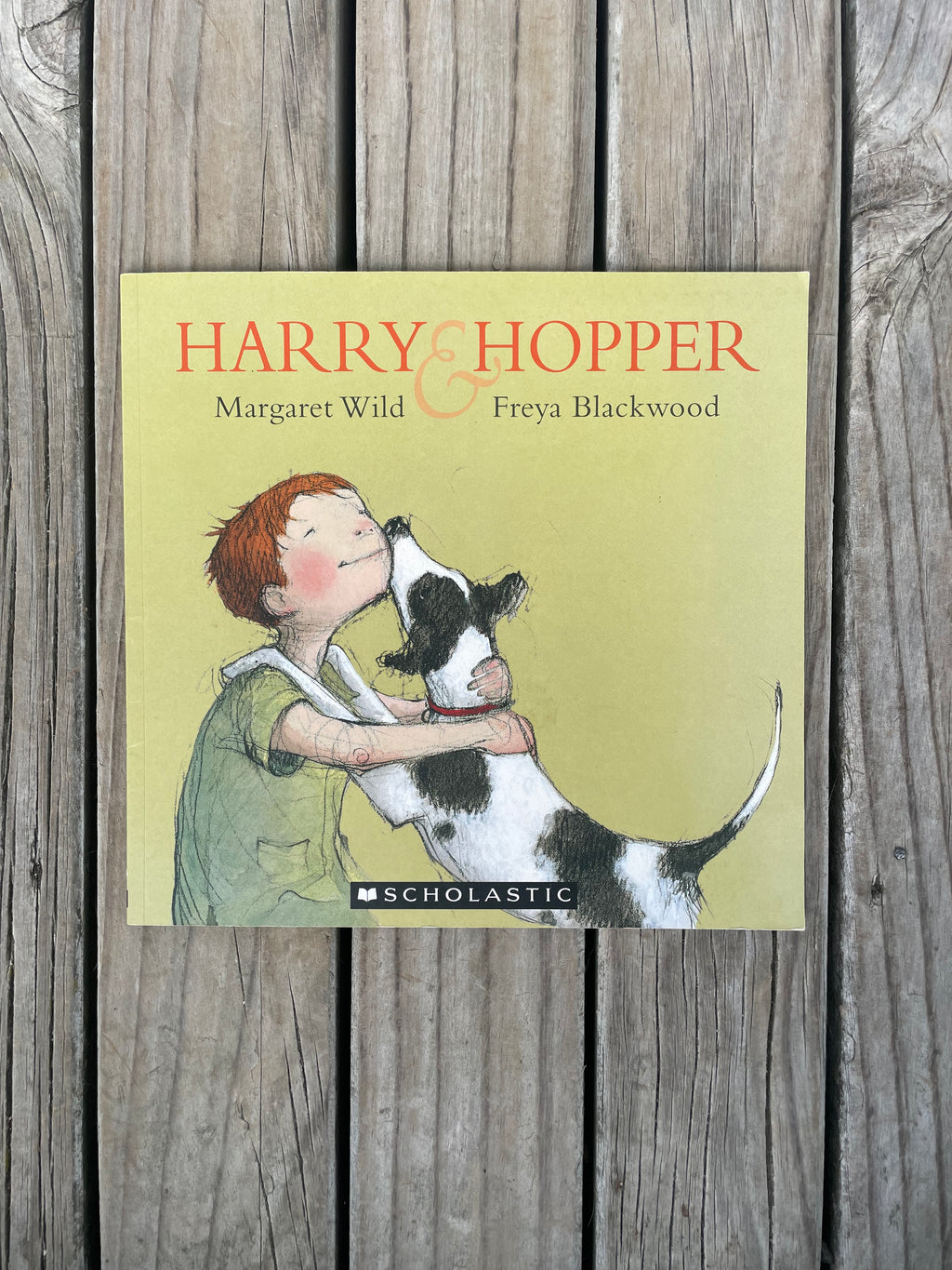 Harry and Hopper - Margaret Wild