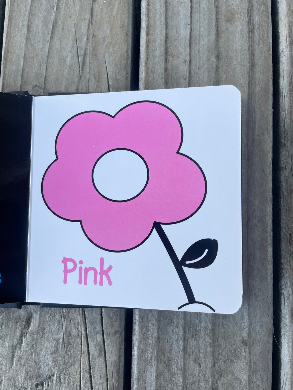 My first book of colours!